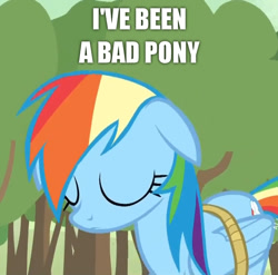 Size: 666x658 | Tagged: source needed, useless source url, safe, screencap, rainbow dash, pegasus, pony, image macro, meme, rope