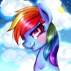 Size: 1000x1000 | Tagged: safe, artist:suzuii, rainbow dash, pegasus, pony, bust, portrait, smirk, solo