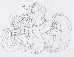 Size: 600x459 | Tagged: safe, artist:inkeed, big macintosh, rainbow dash, earth pony, pegasus, pony, boop, bronycon, commission, eyes closed, fluffy, heart, inked, lineart, male, monochrome, noseboop, nuzzling, rainbowmac, raised hoof, shipping, size difference, smiling, smoldash, spread wings, stallion, straight, traditional art, unshorn fetlocks