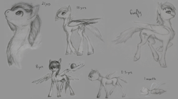 Size: 7944x4440 | Tagged: safe, artist:cuttledreams, firefly, rainbow dash, pegasus, pony, absurd resolution, age progression, headcanon, hooves, monochrome, older, sketch dump, traditional art, younger