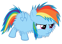 Size: 4284x3000 | Tagged: safe, artist:bronyboy, rainbow dash, pegasus, pony, fluffy, foal, glare, simple background, smiling, smirk, solo, transparent background, vector