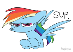 Size: 468x329 | Tagged: safe, artist:hajuya, rainbow dash, pegasus, pony, blue coat, female, mare, multicolored mane, simple background, solo