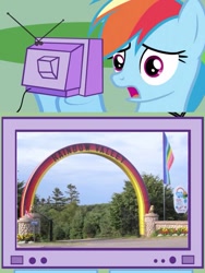 Size: 601x800 | Tagged: safe, rainbow dash, pegasus, pony, exploitable meme, meme, obligatory pony, prince edward island, rainbow valley, tv meme