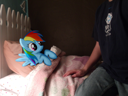 Size: 1024x768 | Tagged: safe, artist:afkrobot, artist:xxsilverthehedgehog, rainbow dash, human, fanfic:my little dashie, bed, blanket, irl, irl human, photo, ponies in real life, reference, vector