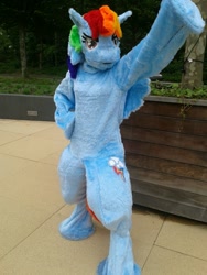 Size: 720x960 | Tagged: safe, artist:aurelynne, rainbow dash, human, cosplay, frusuit, irl, irl human, photo