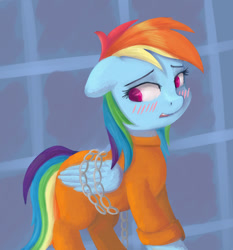 Size: 1186x1272 | Tagged: safe, artist:st-el, rainbow dash, pegasus, pony, blushing, chains, clothes, prison outfit, prisoner, prisoner rd, solo