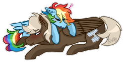 Size: 900x450 | Tagged: safe, artist:artistcoolpony, artist:kikirdcz, derpibooru import, dumbbell, rainbow dash, pegasus, pony, blushing, dumbdash, male, pony pillow, prone, shipping, simple background, sleeping, straight, transparent background, zzz