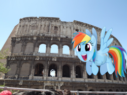 Size: 4288x3216 | Tagged: safe, artist:missbeigepony, rainbow dash, colosseum, irl, italy, photo, ponies in real life, rome, ruins, solo, vector