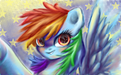 Size: 640x400 | Tagged: safe, artist:k.marcy, rainbow dash, pegasus, pony, blue coat, female, mare, multicolored mane, pixiv, solo