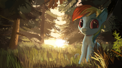 Size: 1191x670 | Tagged: dead source, safe, artist:moo, rainbow dash, pegasus, pony, female, forest, mare, paintover, sitting, solo, tree