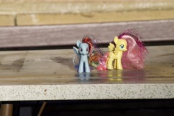 Size: 6000x4000 | Tagged: safe, artist:explonova, fluttershy, rainbow dash, brushable, irl, photo, photography, toy