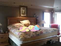 Size: 2592x1944 | Tagged: safe, artist:flamevulture17, artist:that guy in the corner, artist:tokkazutara1164, fluttershy, rainbow dash, bed, bottle, chair, irl, lamp, photo, pillow, ponies in real life, sleeping, vector
