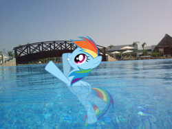 Size: 1024x768 | Tagged: safe, artist:worldwolfcorn, derpibooru import, rainbow dash, irl, morocco, photo, ponies in real life, solo, swimming, water