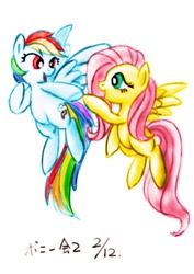 Size: 904x1280 | Tagged: safe, artist:remyroez, derpibooru import, fluttershy, rainbow dash, pegasus, pony, duo, eye contact, floating, flying, looking at each other, open mouth, signature, simple background, spread wings, white background