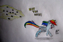 Size: 1024x689 | Tagged: safe, artist:blueboxdave, rainbow dash, bee, pegasus, pony, not the bees, running