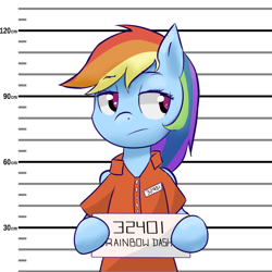 Size: 1400x1400 | Tagged: safe, artist:neko3240, rainbow dash, pegasus, pony, annoyed, clothes, frown, looking away, mugshot, prison outfit, prisoner rd, solo