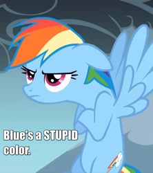 Size: 1280x1440 | Tagged: safe, rainbow dash, pegasus, pony, 1kidsentertainment, blue, grumpy, hypocritical humor, image macro, irony, meme, pokémon the bridged series, solo, text edit