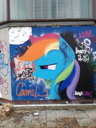 Size: 3120x4160 | Tagged: safe, artist:alvin, artist:littlemunk, derpibooru import, rainbow dash, absurd resolution, graffiti, irl, loyalty, photo, solo