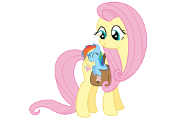 Size: 1200x900 | Tagged: safe, artist:s.guri, fluttershy, rainbow dash, pegasus, pony, cute, filly, saddle bag, simple background, transparent background, vector