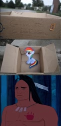 Size: 844x1733 | Tagged: safe, rainbow dash, pegasus, pony, fanfic:my little dashie, evil people finding dash meme, exploitable meme, kocoum, meme, pocahontas