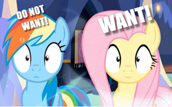 Size: 683x426 | Tagged: safe, derpibooru import, edit, edited screencap, screencap, fluttershy, rainbow dash, pegasus, pony, every little thing she does, do not want, image macro, meme, reaction image, shrunken pupils, varying degrees of want