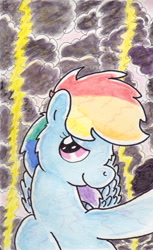 Size: 740x1210 | Tagged: safe, artist:slightlyshade, rainbow dash, pegasus, pony, solo, traditional art