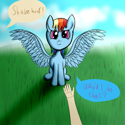 Size: 1000x1000 | Tagged: safe, artist:shaliwolf, derpibooru import, rainbow dash, human, pegasus, pony, grass, hand, looking at you, offscreen character, speech bubble, spread wings