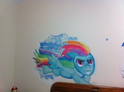 Size: 400x298 | Tagged: safe, rainbow dash, pegasus, pony, blue coat, female, mare, multicolored mane, wall