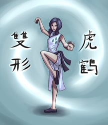 Size: 1300x1500 | Tagged: dead source, safe, artist:ninjaham, rarity, human, abstract background, acdsee, action pose, cheongsam, chinese, clothes, female, humanized, kung fu, martial artist rarity, solo, text