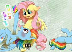 Size: 6260x4488 | Tagged: safe, artist:kiriya, fluttershy, rainbow dash, pegasus, pony, absurd resolution, cover, doujin, explicit source, preview