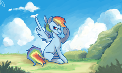 Size: 1008x605 | Tagged: safe, artist:dashleigh, rainbow dash, pegasus, pony, blue coat, female, mare, multicolored mane, pixiv, solo