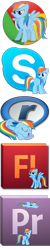 Size: 200x1000 | Tagged: safe, artist:pony4444, rainbow dash, pegasus, pony, adobe, adobe flash, fireworks, google chrome, icon, obligatory pony, premiere, realplayer, simple background, skype, solo, transparent background, vector