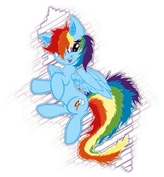 Size: 1200x1300 | Tagged: safe, artist:yooyfull, rainbow dash, pegasus, pony, ear fluff, fluffy, solo