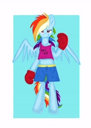 Size: 5787x8185 | Tagged: safe, artist:lionessfortune, rainbow dash, pegasus, pony, absurd resolution, boxing, boxing gloves