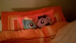 Size: 2592x1456 | Tagged: safe, artist:drpootis66, derpibooru import, rainbow dash, twilight sparkle, bed, blanket, female, irl, lesbian, looking at each other, photo, pillow, plushie, shipping, twidash