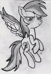 Size: 2008x2909 | Tagged: safe, artist:ocredan, rainbow dash, pegasus, pony, monochrome, solo, traditional art