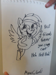 Size: 3240x4320 | Tagged: safe, artist:hotdiggedydemon, rainbow dash, pegasus, pony, rainbow douche, sketchpad, traditional art, vulgar