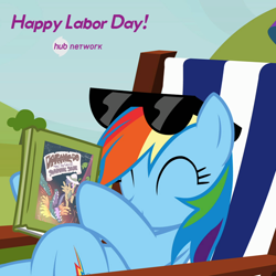 Size: 548x549 | Tagged: safe, screencap, daring do, rainbow dash, pegasus, pony, too many pinkie pies, book, cropped, daring do and the sapphire statue, female, hub logo, hub network, labor day, mare, official, sunglasses, text, the hub