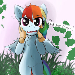 Size: 1500x1500 | Tagged: safe, artist:mr.candy_owo, derpibooru import, rainbow dash, oc, oc:anon, pegasus, pony, disembodied hand, embarrassed, female, grass, holding a pony, lineart, looking at you, mare, spread wings, surprised