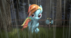 Size: 4069x2160 | Tagged: safe, artist:jaygaming1, derpibooru import, rainbow dash, pegasus, pony, 3d, absurd resolution, fence, forest, goggles, looking at you, poster, rain, shiny, solo, source filmmaker