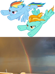 Size: 500x665 | Tagged: safe, artist:drakizora, lightning dust, rainbow dash, pegasus, pony, lightning, photo, rainbow