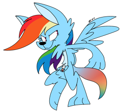 Size: 1024x947 | Tagged: safe, artist:dizzee-toaster, rainbow dash, kangaroo, solo, species swap