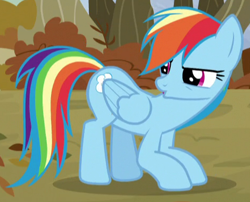 Size: 470x380 | Tagged: safe, derpibooru import, screencap, rainbow dash, pegasus, pony, tanks for the memories, cropped, crouching, duckface, rainbow dash is not amused, solo, unamused