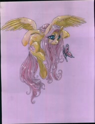 Size: 1280x1674 | Tagged: safe, artist:buttercupsaiyan, fluttershy, butterfly, pegasus, pony, animal, female, flying, mare, solo, traditional art