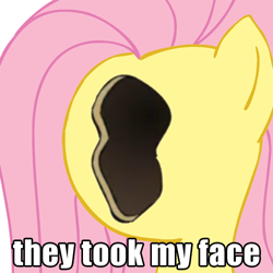 Size: 500x500 | Tagged: safe, fluttershy, pegasus, pony, female, harry partridge, image macro, mare, no face, solo, the justin bieber show