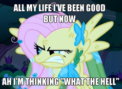 Size: 655x480 | Tagged: safe, edit, edited screencap, screencap, fluttershy, pegasus, pony, the best night ever, avril lavigne, caption, clothes, dress, female, flutterrage, gala dress, gritted teeth, image macro, mare, solo, song reference, vulgar, what the hell (song)