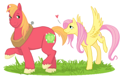 Size: 776x495 | Tagged: safe, artist:cartoonlion, big macintosh, fluttershy, earth pony, pegasus, pony, biting, duo, female, fluttermac, heart, male, mare, raised hoof, raised leg, shipping, simple background, stallion, straight, tail bite, white background