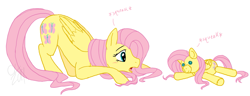 Size: 1591x613 | Tagged: dead source, safe, artist:cartoonlion, fluttershy, pegasus, pony, blushing, crouching, doll, female, mare, plushie, simple background, solo, squeak, white background