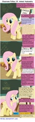 Size: 900x3069 | Tagged: safe, artist:birdco, fluttershy, pegasus, pony, blushing, chalkboard, classroom follies, comic, female, implied apple bloom, implied diamond tiara, implied fluttermac, implied shipping, implied straight, implied sweetie belle, mare, offscreen character, solo