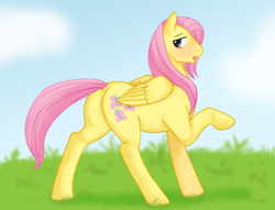 Size: 816x622 | Tagged: safe, artist:cartoonlion, butterscotch, fluttershy, pegasus, pony, adorascotch, blushing, butt, cute, looking back, male, plot, raised hoof, rule 63, rule63betes, solo, stallion